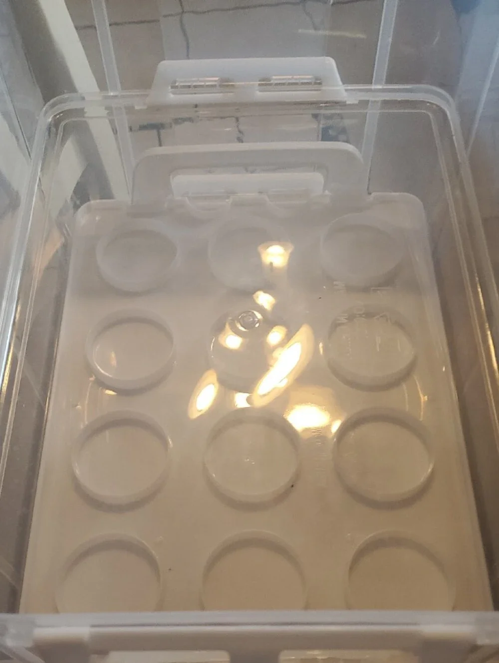 Cupcake/ Muffin Carrier. Holds 12 Per Container. 3 Layers All Stack Together